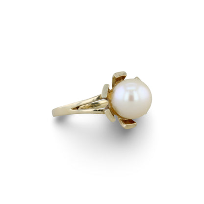 Goldring mit Perle